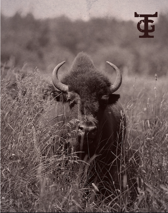 best bison meat edmonton